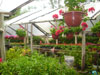 PLANTAS DIRECCION POMASQUI